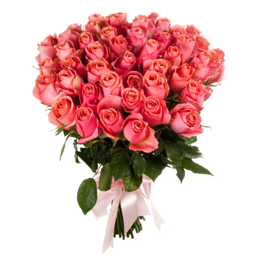 shutterstock_571554001