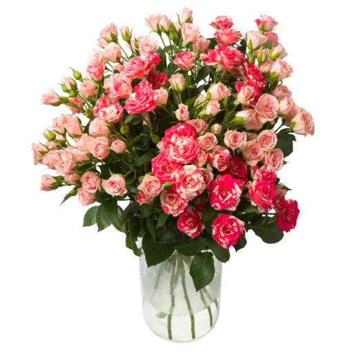 shutterstock_575115436